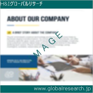 グローバルリサーチ調査レポートのイメージ